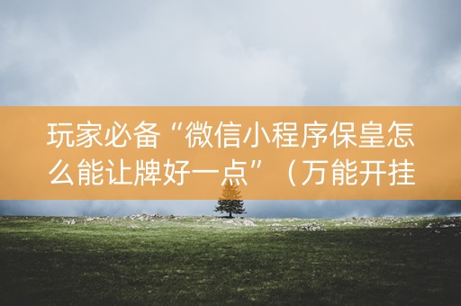 玩家必备“微信小程序保皇怎么能让牌好一点”（万能开挂器)