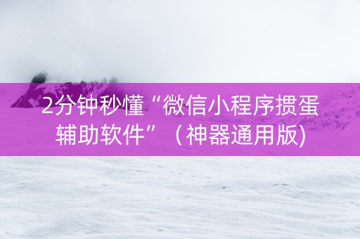 2分钟秒懂“微信小程序掼蛋辅助软件”（神器通用版)