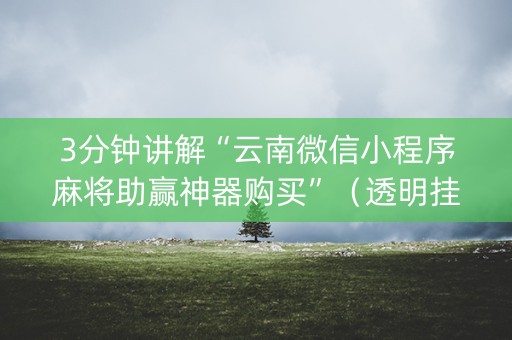 3分钟讲解“云南微信小程序麻将助赢神器购买”（透明挂辅助器)