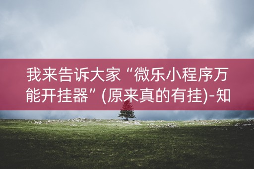 我来告诉大家“微乐小程序万能开挂器”(原来真的有挂)-知乎