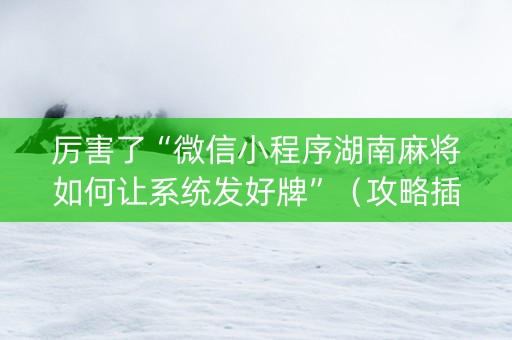 厉害了“微信小程序湖南麻将如何让系统发好牌”（攻略插件)
