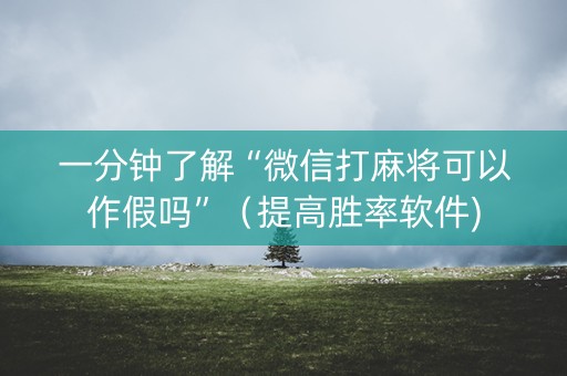 一分钟了解“微信打麻将可以作假吗”（提高胜率软件)