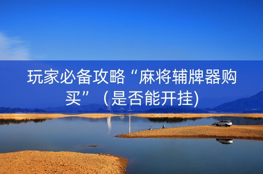 玩家必备攻略“麻将辅牌器购买”（是否能开挂)
