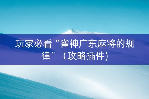 玩家必看“雀神广东麻将的规律”（攻略插件)