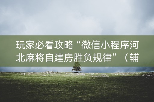 玩家必看攻略“微信小程序河北麻将自建房胜负规律”（辅助器通用版)
