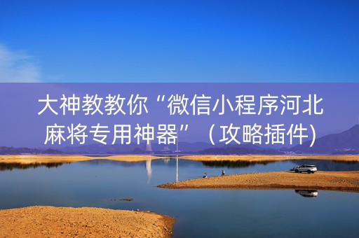 大神教教你“微信小程序河北麻将专用神器”（攻略插件)