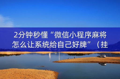 2分钟秒懂“微信小程序麻将怎么让系统给自己好牌”（挂件神器)