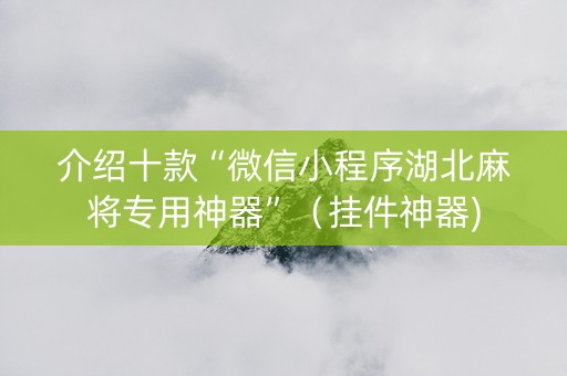 介绍十款“微信小程序湖北麻将专用神器”（挂件神器)