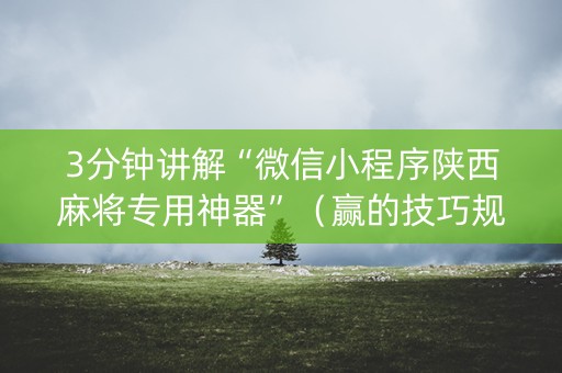 3分钟讲解“微信小程序陕西麻将专用神器”（赢的技巧规律)