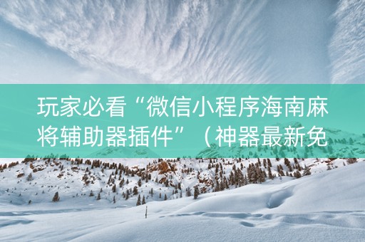 玩家必看“微信小程序海南麻将辅助器插件”（神器最新免费)