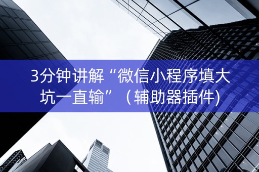 3分钟讲解“微信小程序填大坑一直输”（辅助器插件)