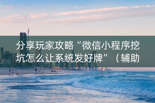 分享玩家攻略“微信小程序挖坑怎么让系统发好牌”（辅助器插件)