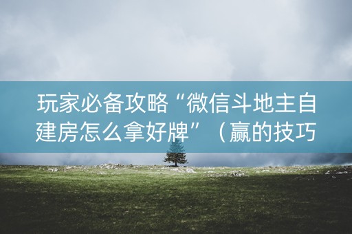 玩家必备攻略“微信斗地主自建房怎么拿好牌”（赢的技巧规律)