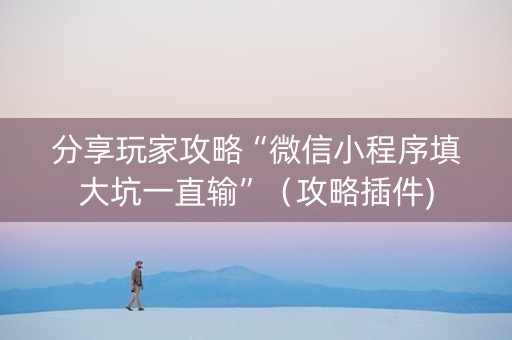分享玩家攻略“微信小程序填大坑一直输”（攻略插件)