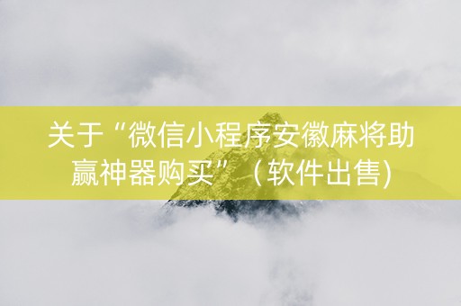 关于“微信小程序安徽麻将助赢神器购买”（软件出售)