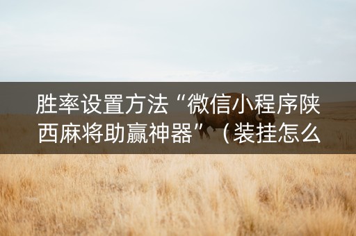 胜率设置方法“微信小程序陕西麻将助赢神器”（装挂怎么安装)