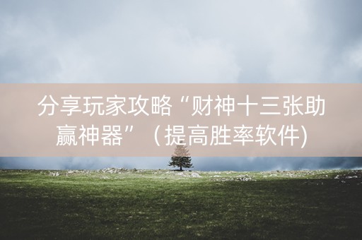 分享玩家攻略“财神十三张助赢神器”（提高胜率软件)