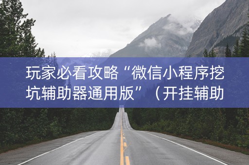 玩家必看攻略“微信小程序挖坑辅助器通用版”（开挂辅助脚本)
