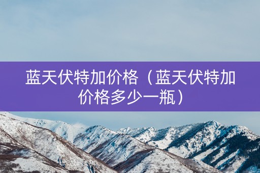 蓝天伏特加价格（蓝天伏特加价格多少一瓶）