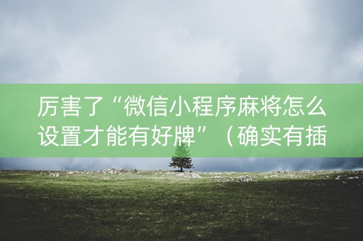 厉害了“微信小程序麻将怎么设置才能有好牌”（确实有插件吗)
