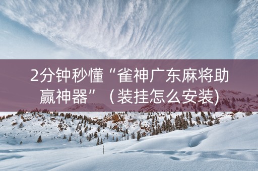 2分钟秒懂“雀神广东麻将助赢神器”（装挂怎么安装)