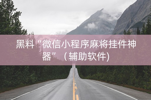 黑料“微信小程序麻将挂件神器”（辅助软件)