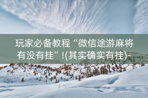 玩家必备教程“微信途游麻将有没有挂”!(其实确实有挂)-知乎