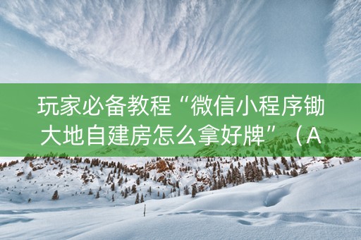 玩家必备教程“微信小程序锄大地自建房怎么拿好牌”（AI辅助胡牌规则)