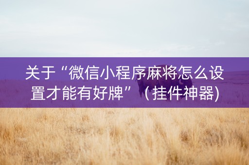 关于“微信小程序麻将怎么设置才能有好牌”（挂件神器)