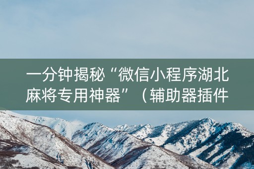 一分钟揭秘“微信小程序湖北麻将专用神器”（辅助器插件)