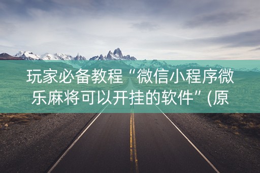 玩家必备教程“微信小程序微乐麻将可以开挂的软件”(原来真的有挂)-知乎