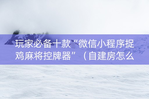 玩家必备十款“微信小程序捉鸡麻将控牌器”（自建房怎么拿好牌)