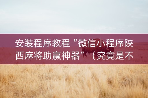 安装程序教程“微信小程序陕西麻将助赢神器”（究竟是不是有挂)