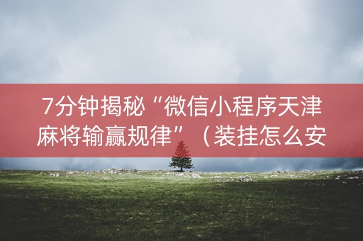 7分钟揭秘“微信小程序天津麻将输赢规律”（装挂怎么安装)