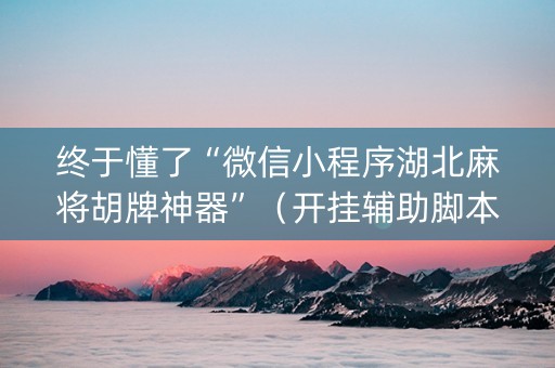 终于懂了“微信小程序湖北麻将胡牌神器”（开挂辅助脚本)
