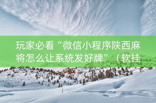 玩家必看“微信小程序陕西麻将怎么让系统发好牌”（软挂神器)