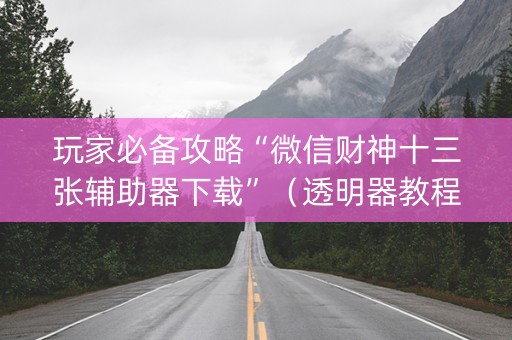 玩家必备攻略“微信财神十三张辅助器下载”（透明器教程)
