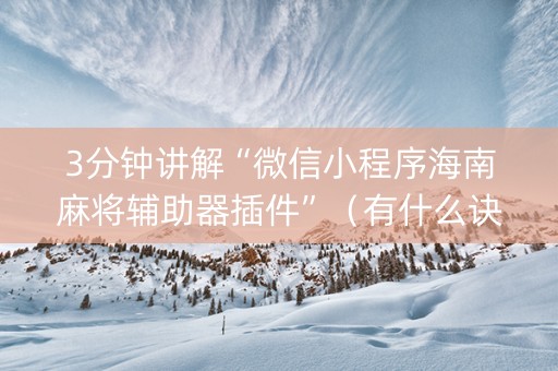 3分钟讲解“微信小程序海南麻将辅助器插件”（有什么诀窍)