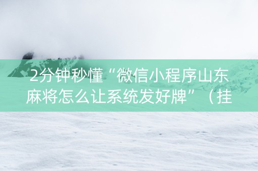 2分钟秒懂“微信小程序山东麻将怎么让系统发好牌”（挂件神器)