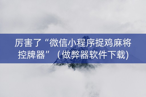 厉害了“微信小程序捉鸡麻将控牌器”（做弊器软件下载)