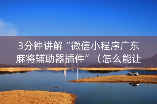 3分钟讲解“微信小程序广东麻将辅助器插件”（怎么能让牌好一点)