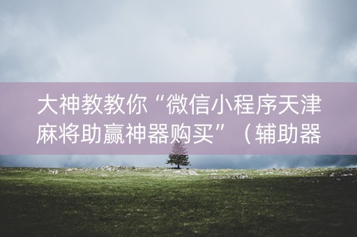 大神教教你“微信小程序天津麻将助赢神器购买”（辅助器下载)