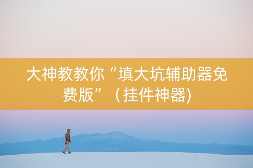 大神教教你“填大坑辅助器免费版”（挂件神器)