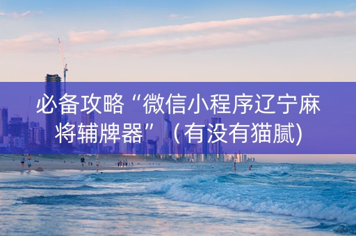 必备攻略“微信小程序辽宁麻将辅牌器”（有没有猫腻)