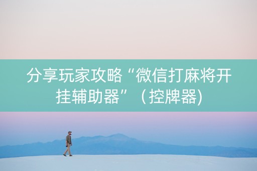 分享玩家攻略“微信打麻将开挂辅助器”（控牌器)