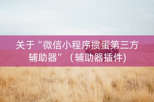 关于“微信小程序掼蛋第三方辅助器”（辅助器插件)