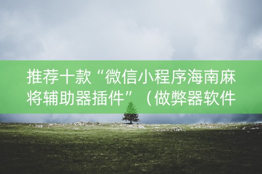 推荐十款“微信小程序海南麻将辅助器插件”（做弊器软件下载)