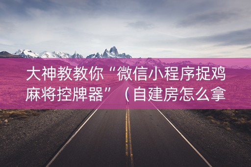 大神教教你“微信小程序捉鸡麻将控牌器”（自建房怎么拿好牌)