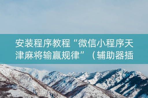 安装程序教程“微信小程序天津麻将输赢规律”（辅助器插件)