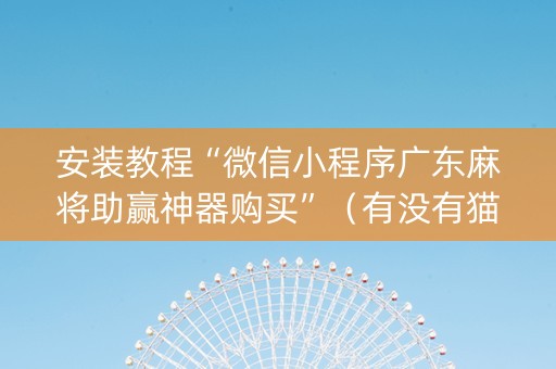 安装教程“微信小程序广东麻将助赢神器购买”（有没有猫腻)